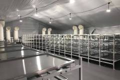 Morgue-1
