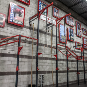 Indoor Fitness Cell 86 Box Series Rigs